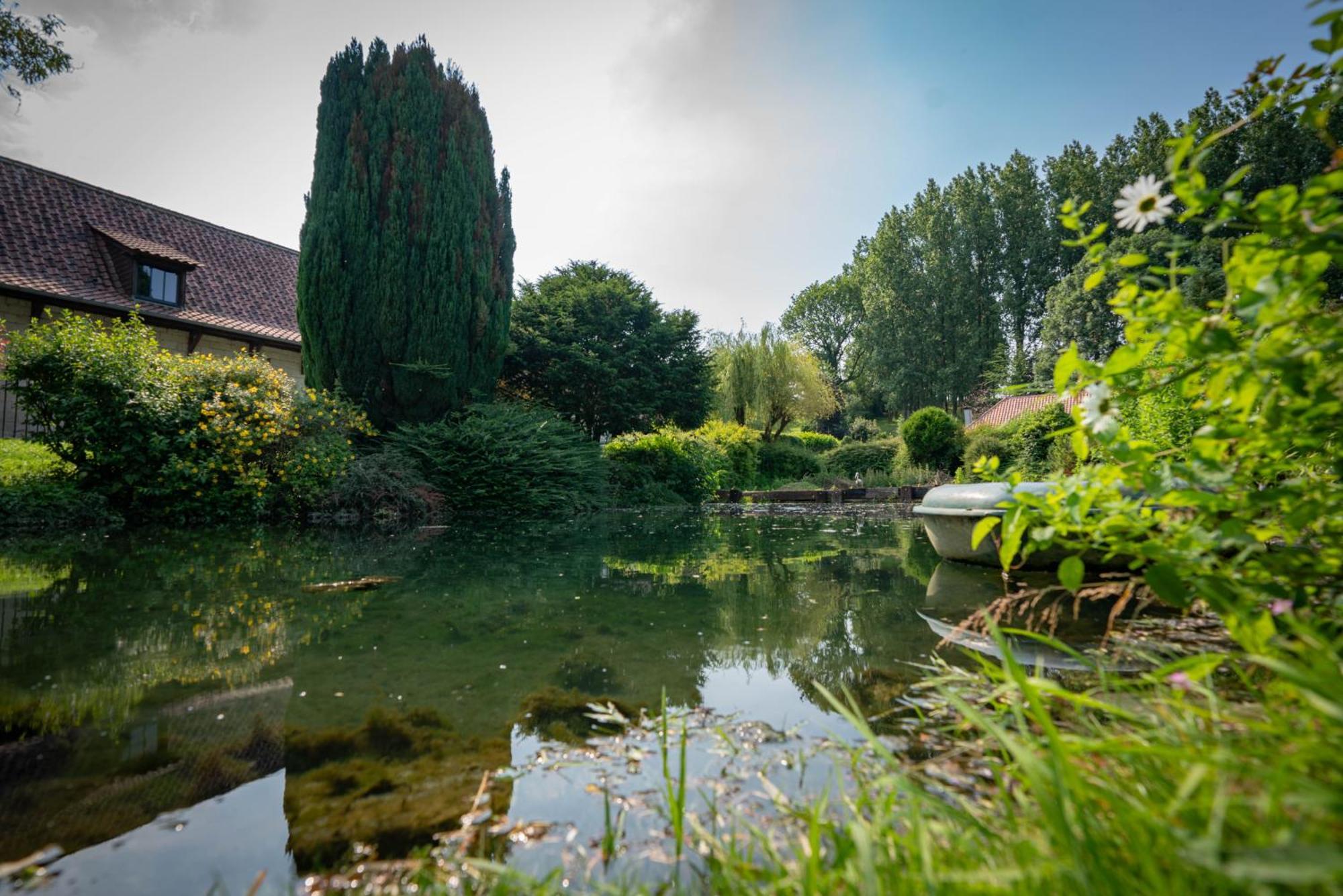 Enquin-les-Mines La Ferme Des Templiers De Flechinelle Bed & Breakfast エクステリア 写真