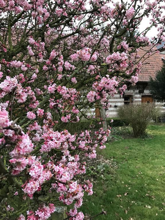 Enquin-les-Mines La Ferme Des Templiers De Flechinelle Bed & Breakfast エクステリア 写真